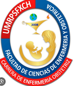 Enfermería Obstetriz